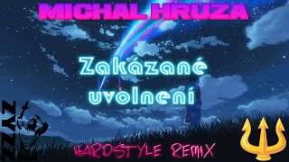 Michal Hrůza - Zakázané uvolnění | DnsT3r_7 Hardstyle Remix | 🔱💪