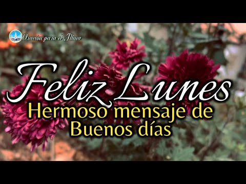 Video: ¡Feliz buen día!