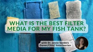 What is the Best Filter Media for Fish Tanks?