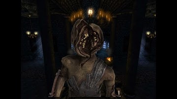 Amnesia Ep 8: TO THE FUNGEON!