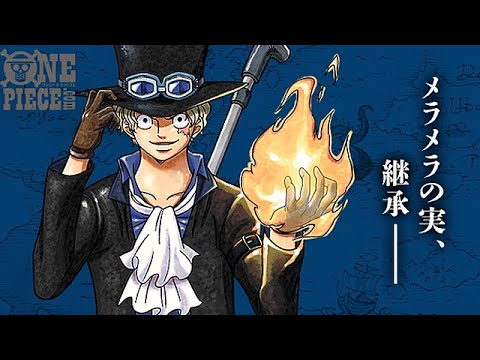 ワンピース サボの弟 ステリーが大人になって再登場 声は鳥海浩輔