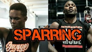 Israel Adesanya sparring Anthony Johnson with trash talk and Stylebender describes sparring Rumble