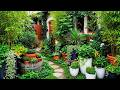 13 Urban Jungle Oasis Ideas 2025 🌿 | Transform Your Front Yard Into a Lush Green Paradise