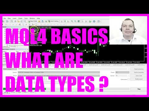 MQL4 TUTORIAL BASICS - 4 WHAT ARE DATA TYPES
