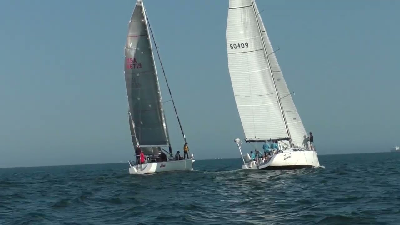 Pop Tops - 2024 - Series 2 - Race 6