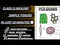 anatomy of flowering plants: simple tissues general science pcs exams biology notes class 11 ncert