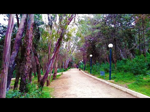 حديقة غابية جميله جدا فتحت مؤخرا NEW FOREST PARK IN BENAKNOUN 