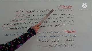 قواعد اللغة العربية للصف الأول متوسط/الضمائر