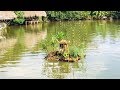 DIY | miniature island on the lake