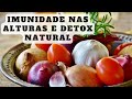 Garlic And Onion Together Strengthen Your Health Naturally Garlic And Onion Together Strengthen Your Health Naturally
