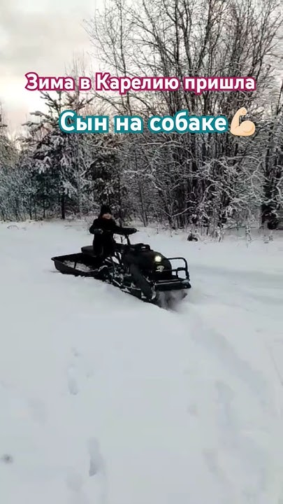 Мото-снежный сезон настал ️ #мотособака #сын #техника #тофалар #тягач ...