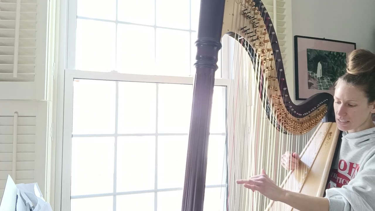 Chicago 40 pedal harp! Excerpts from processional by Linda Wood