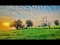 Farmer whatsapp status farmer song status  whatsapp status shortsstatus