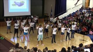 HWES' Cheer Squad Performs During Their Black History Assembly