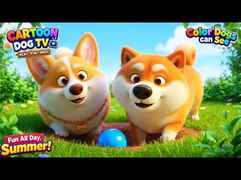Relaxing Dog Cartoon🐶24 Hours of Endless Playtime Fun 🌙 Calm City Night Music