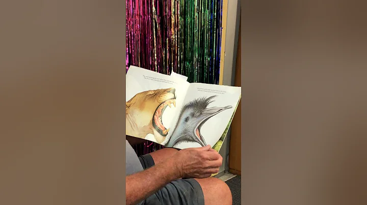 Edward the Emu by Sheena Edwards