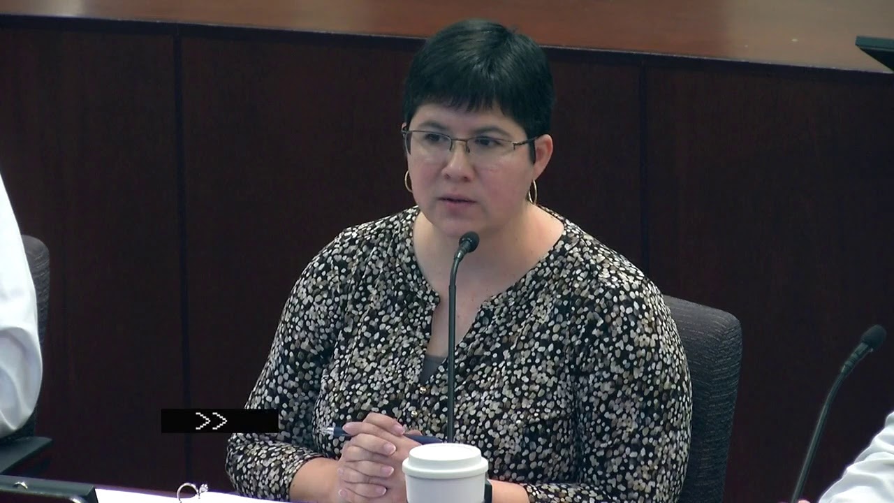 Planning and Zoning Commission - 06/20/2019