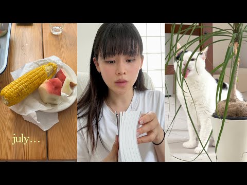 7월의 맛🌽 가성비 요아정 추천, 홍콩소설 <strong>독후감</strong>🔖 안락한 삶은 끝난 오우디 브이로그 vlog