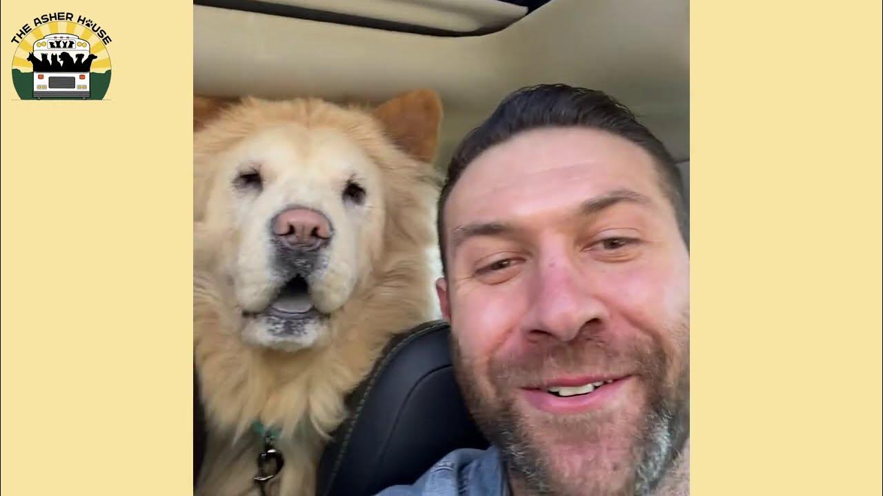 I Couldn't Leave With Just One Dog The Asher House YouTube