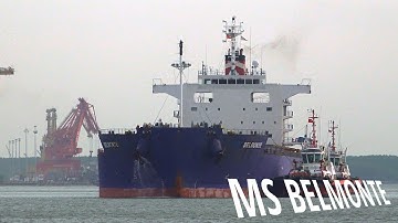 CARGO Discharging Operation of a MEGASHIP | Discharging South American Wheat in Vietnam