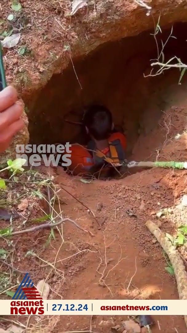 ആറ് മീറ്റർ താഴ്ചയുള്ള 'ഗുഹ' പോലുള്ള കുഴിയിൽ വീണ ആടിനെ രക്ഷിച്ച ഇരിട്ടി ഫയർഫോഴ്സ്