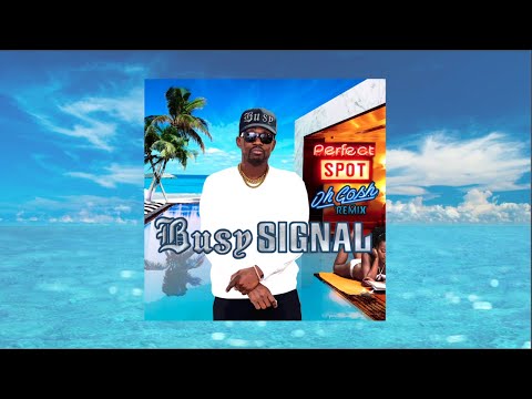 Busy Signal - Perfect Spot (Oh Gosh Remix) Official Audio