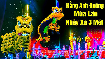 Múa Lân Hay Nhất 2024 Lân Nhảy Xa 3m Bắn Pháo Hoa / LSR Hằng Anh Đường lễ hội Tết Nguyên Tiêu Quận 5