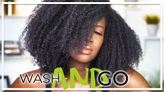 THE BEST DIY Hibiscus Gel Wash &amp; Go