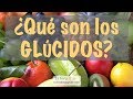 Selección saludable de alimentos presentado por Puros ...