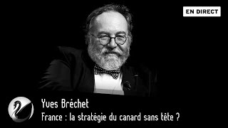 France : la stratégie du canard sans tête ? Yves Bréchet [EN DIRECT]