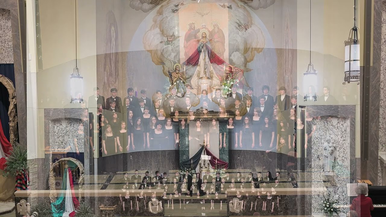 The Grotto - Festival of Lights - Video Montage