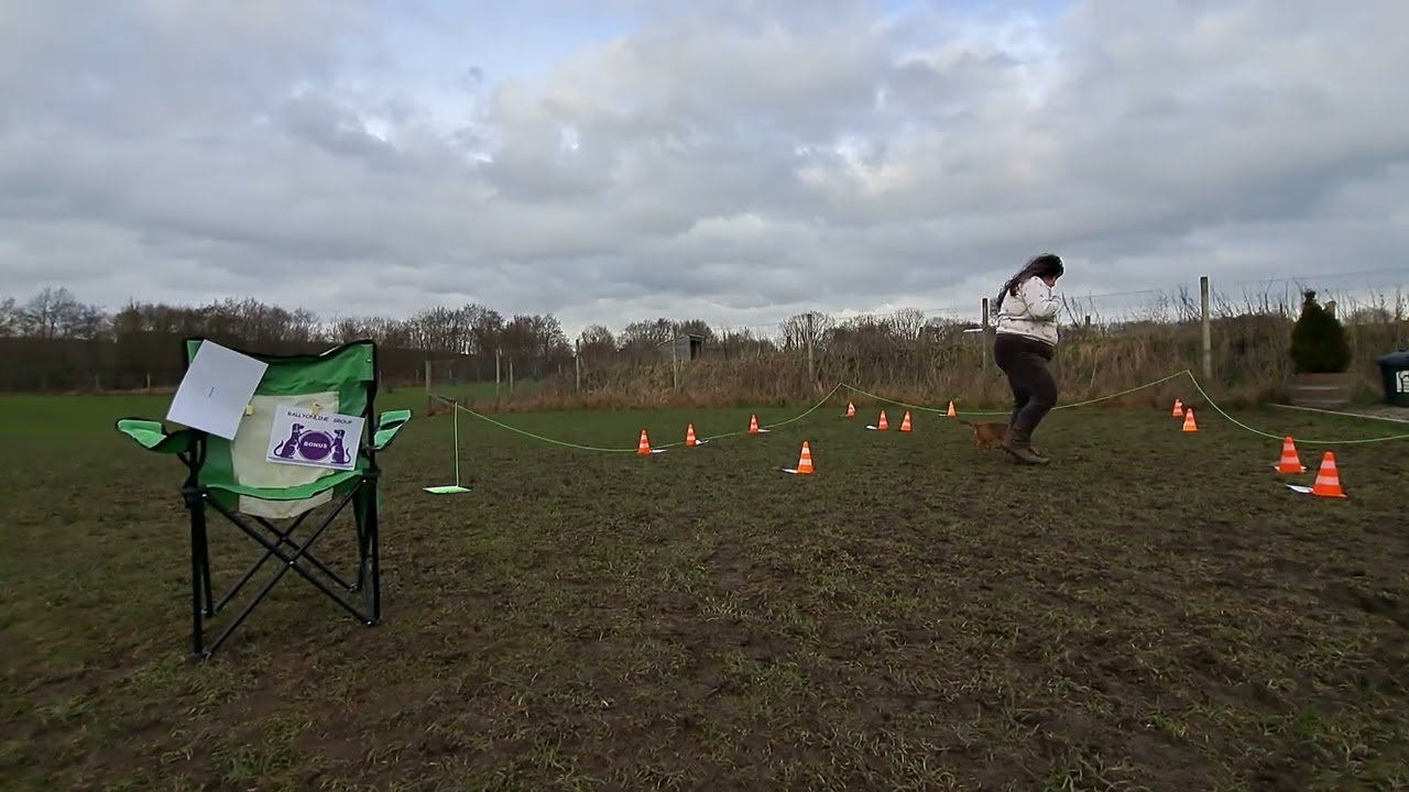 Cery 2566.  Level 1. ROL Feb 2026