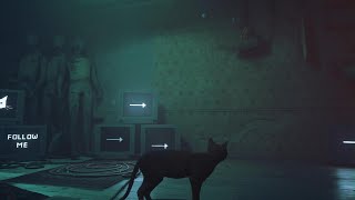 Stray idle animations screenshot 2