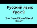 Русский язык Урок 9 (Какой? Какая? Какое? Какие?)