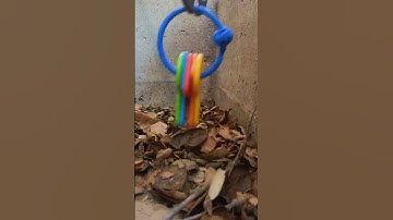 I Tested a "Gravity Hook"