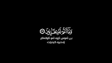 فأنزلنا من السماء ماء فأسقيناكموه شاشة سوداء  | كرومات قرآن كريم | ماهر المعيقلي حالات واتس