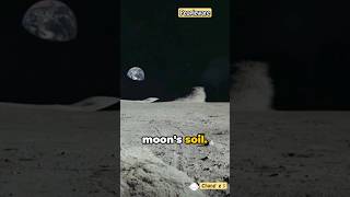 China's Chang'e 1 Exposes Moon's Mysteries
