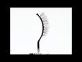 Video: Santorini Strip Lash - 0834