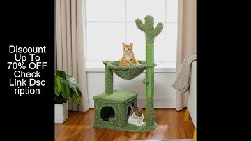 Cactus Cat Tree with Lagre Condo, Hammock, Dangling Ball, Small Cat Tower, Cat Scratching Post for I