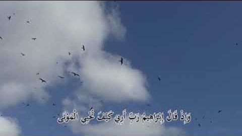 تلاوة(وإذ قال إبراهيم ربي أرني كيف تحي المواتى
