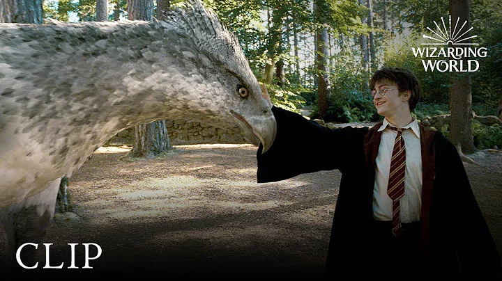 Meet Buckbeak | Harry Potter and the Prisoner of t...