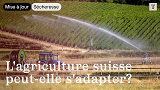 Sécheresse: les paysans suisses face au manque d'eau