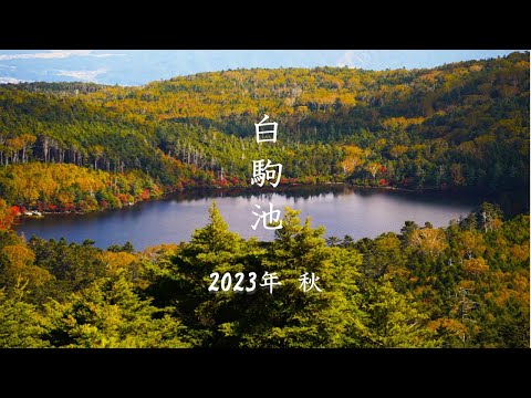 【4K映像】秋の白駒池・高見石、青苔荘でテント泊【出逢いと再会】