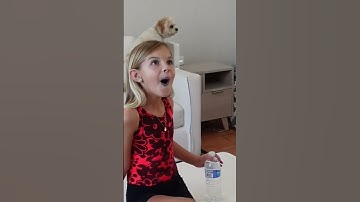 🪄#magic bottle disappears! #kidsfun