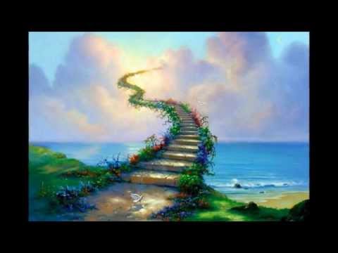 أولتراس أهلاوى جنة الخالدين إخراج جديد