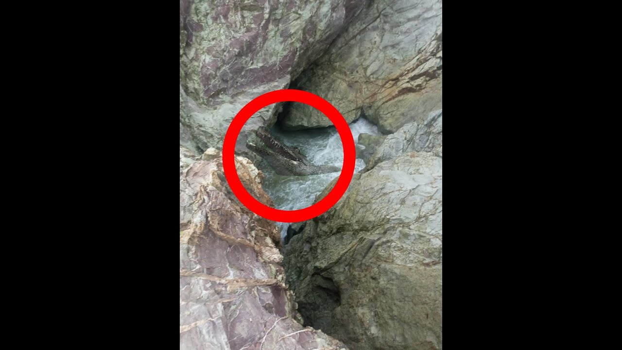 Hum dam crocodile 🐊 | Hub Dam Karachi spillway | Hub dam latest update 2022 