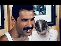 Freddie Mercury Interview [REACTION VIDEO] | Rebeka Luize Budlevska