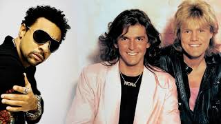 Modern Talking vs Shaggy - Brother Boombastic (Paolo Monti Mashup) Resimi