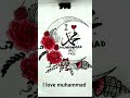 I love muhammad #trustonallah#shorts#trending#viral