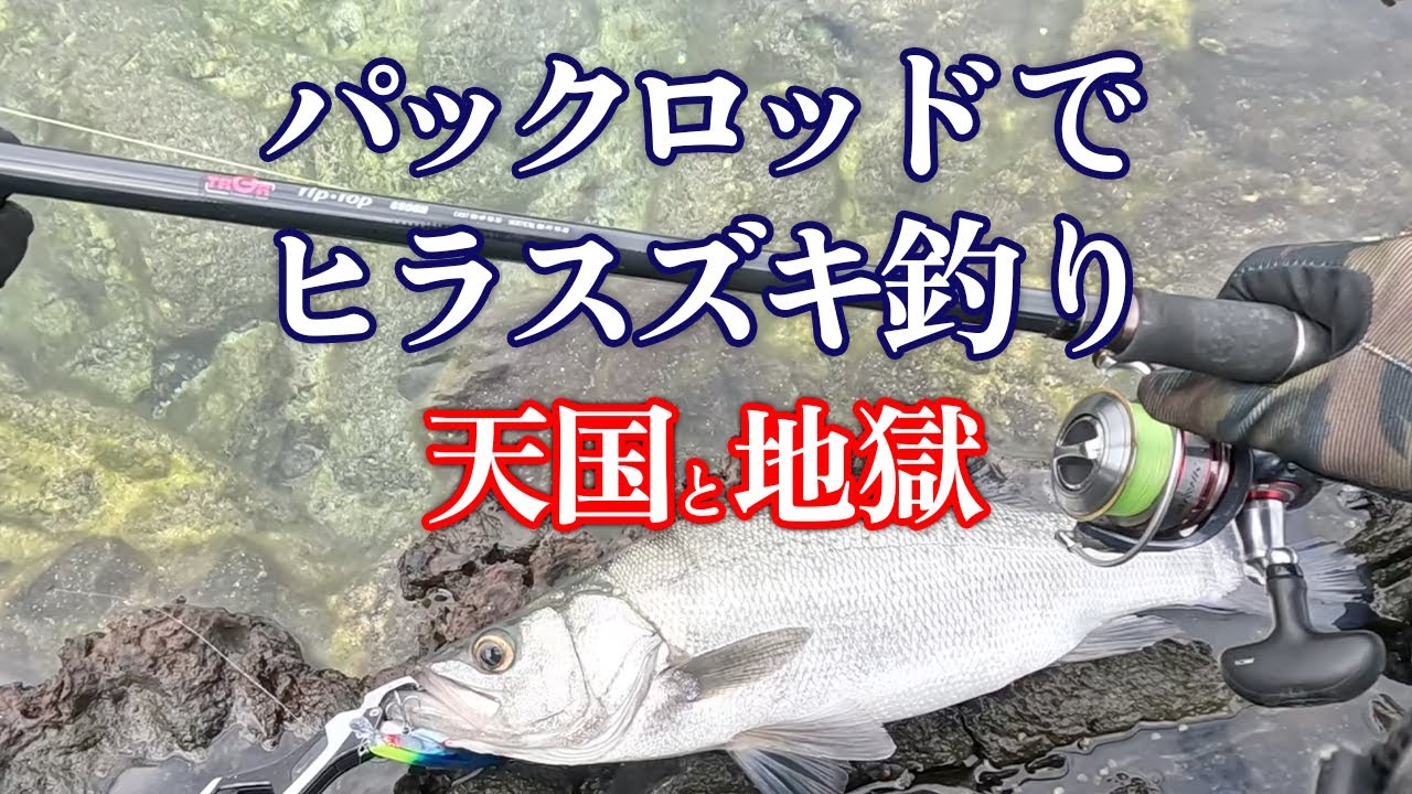 パックロッド（トラギアS906H）で磯ヒラスズキを狙う！衝撃の結末に…
